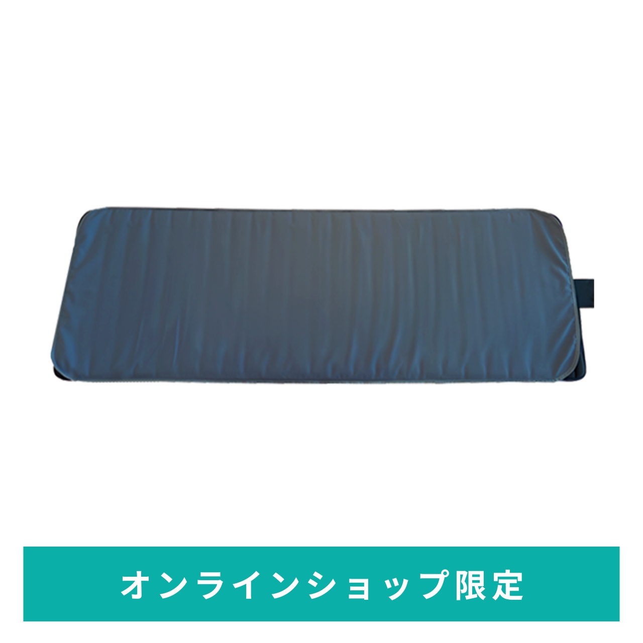 ウェルネスドーム 防水プロテクトシーツ