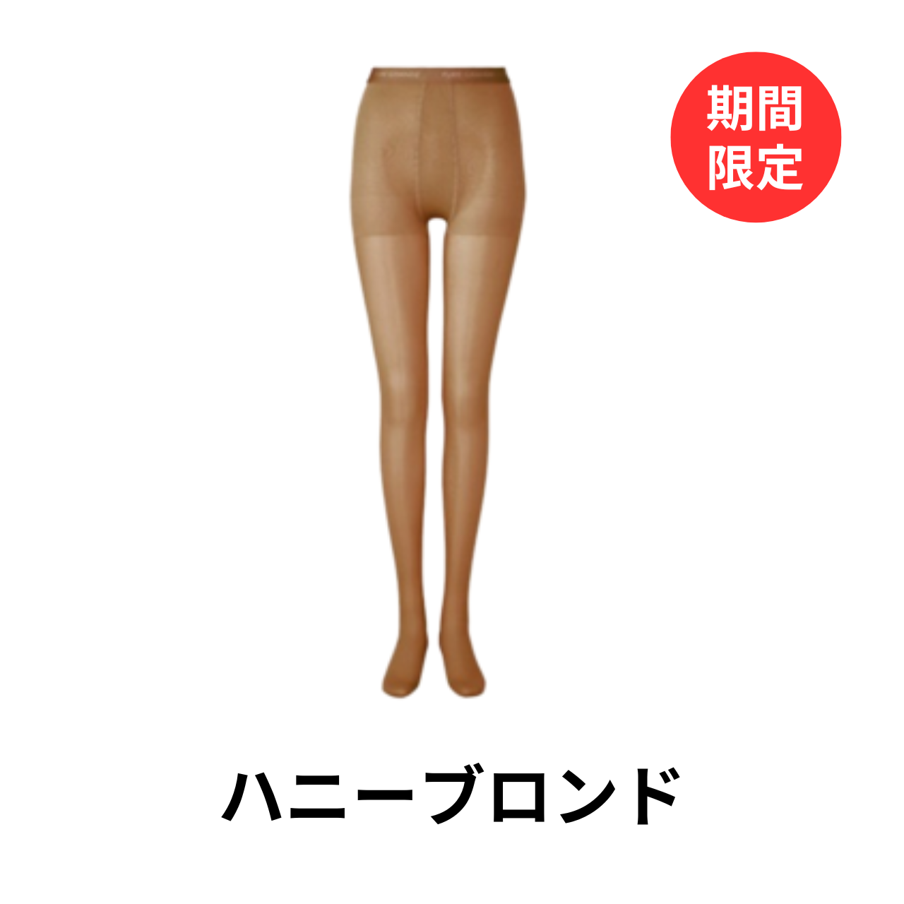 ダイアナ オンラインショップ / ピュアグランデ No.140 トウフィット