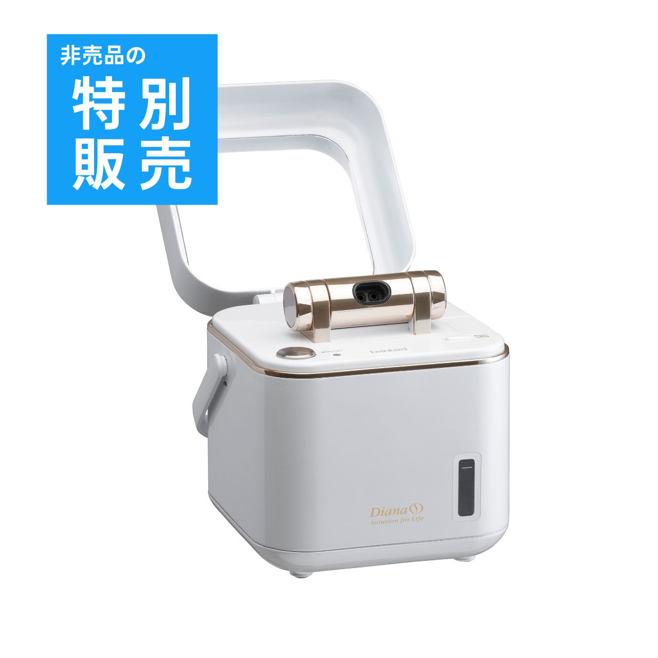 【特別販売】フェイススチーマー(キューブバッグ付き) 在庫一掃セール