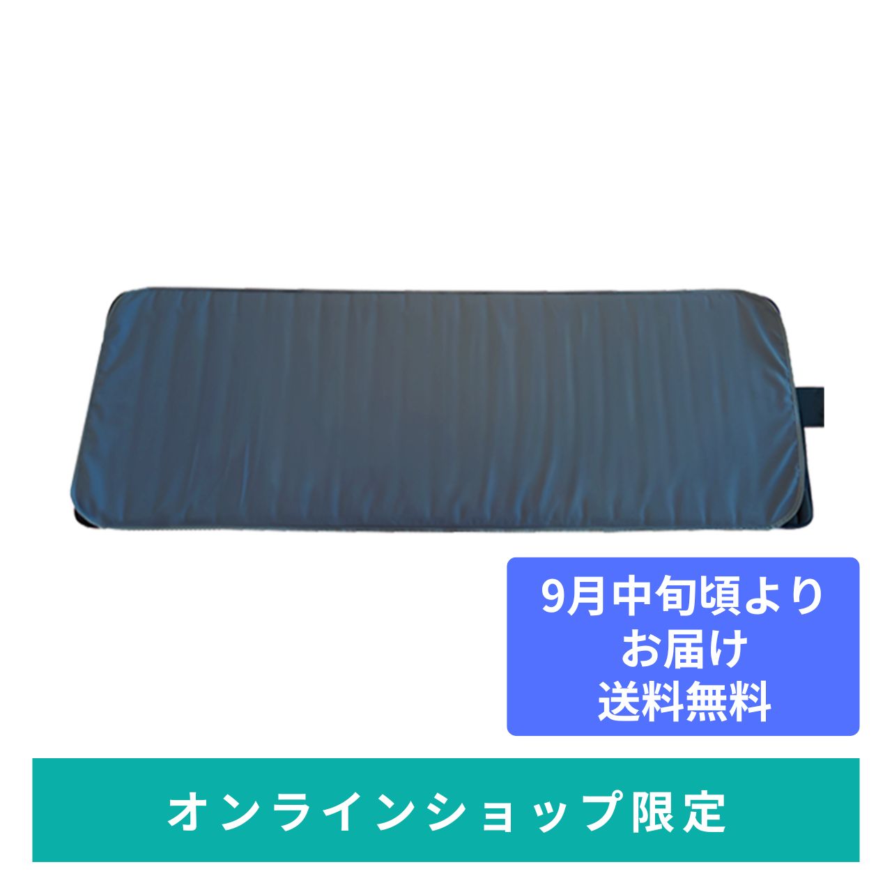 【9月中旬頃お届け】ウェルネスドーム 防水プロテクトシーツ(別品番)