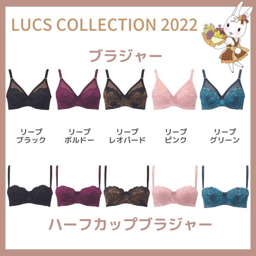 ダイアジェンヌ　ラクスコレクション　２０２２　ブラジャー