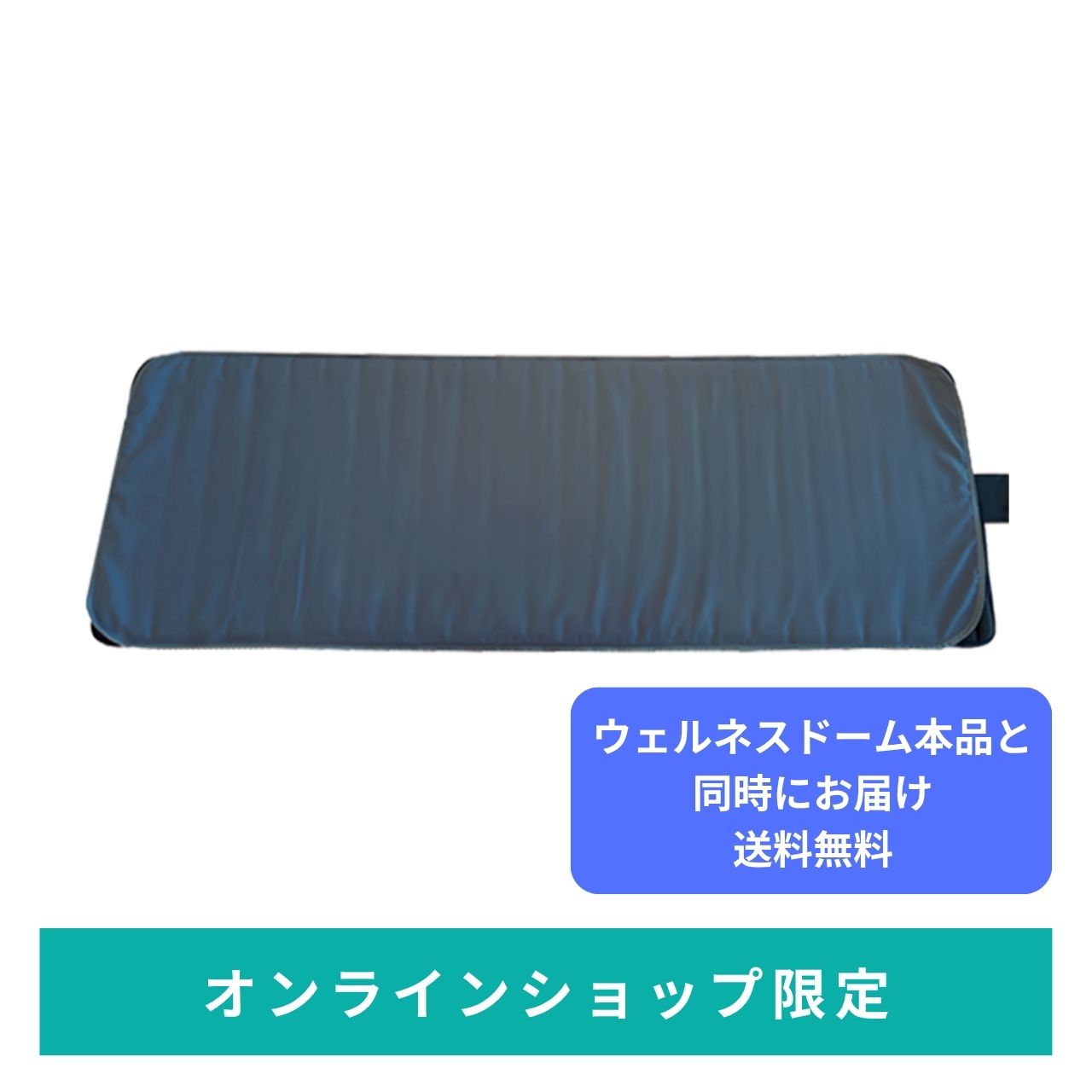 【本体と同時にお届け】ウェルネスドーム 防水プロテクトシーツ