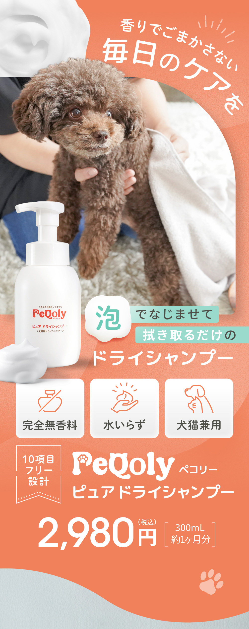 PeQoly ピュア ドライシャンプー 香りでごまかさない毎日のケアを紹介するメインビジュアル