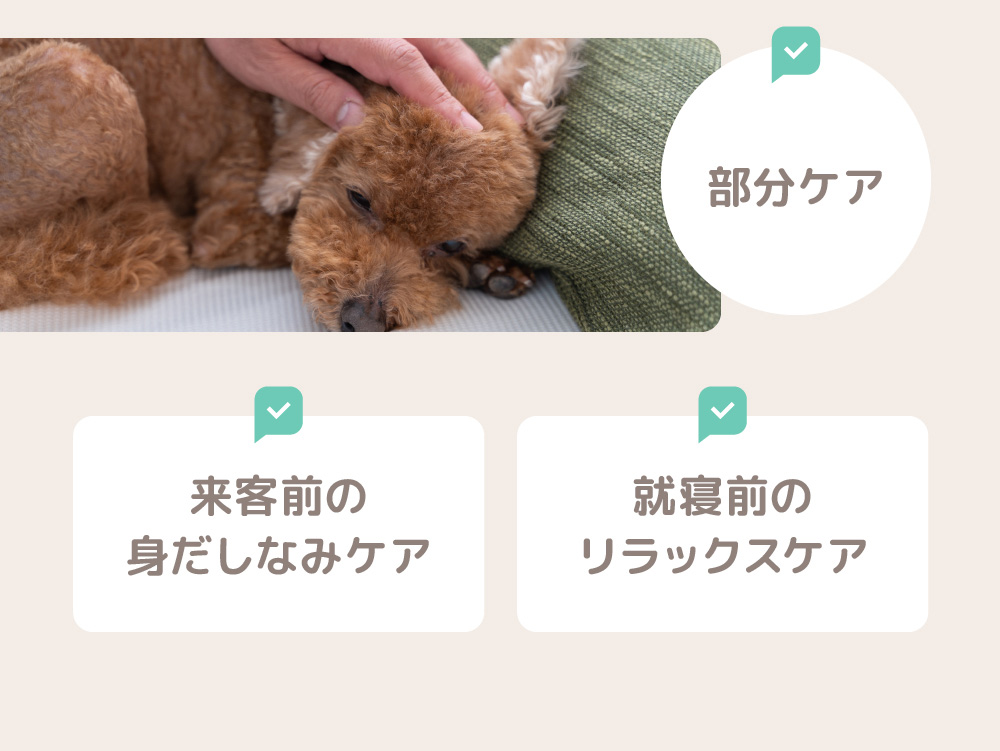 部分ケアや来客前、就寝前にも使えるペット用ドライシャンプーの紹介