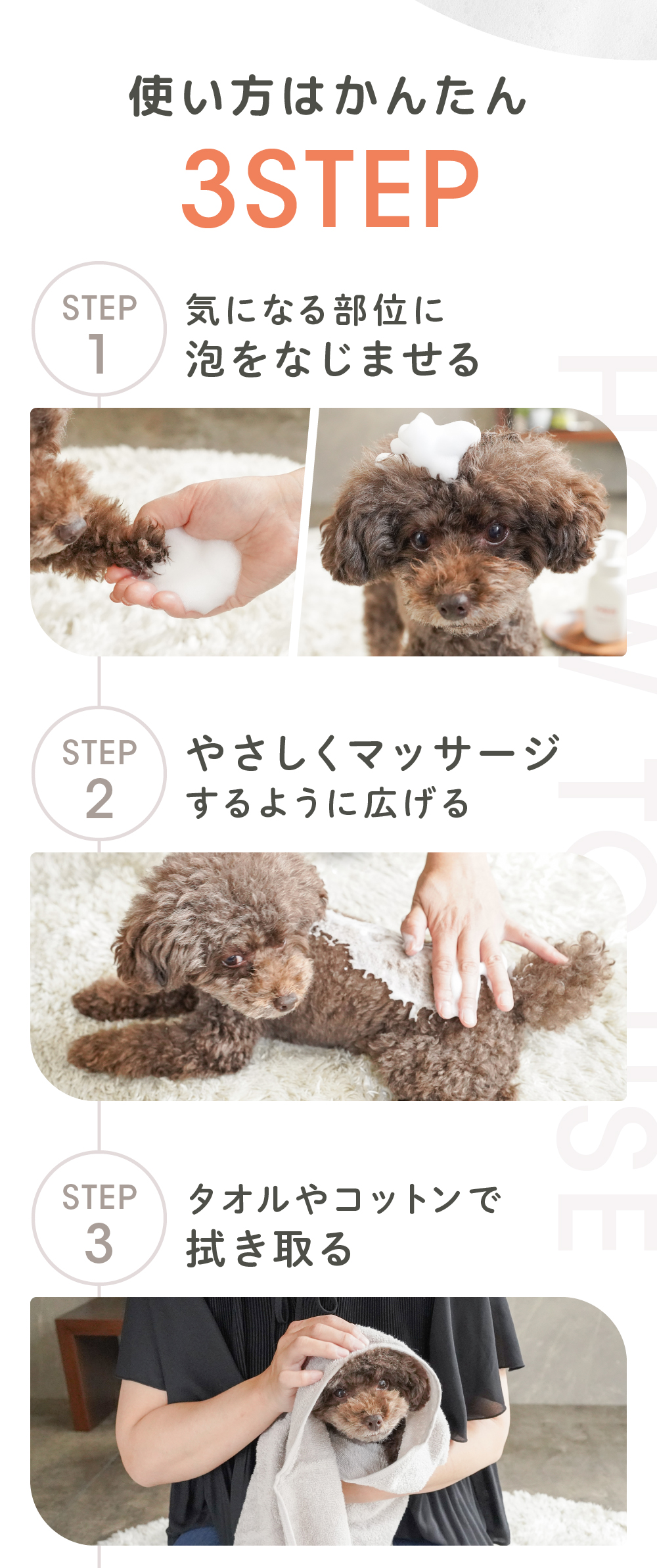PeQoly ピュア ドライシャンプーの主成分一覧
