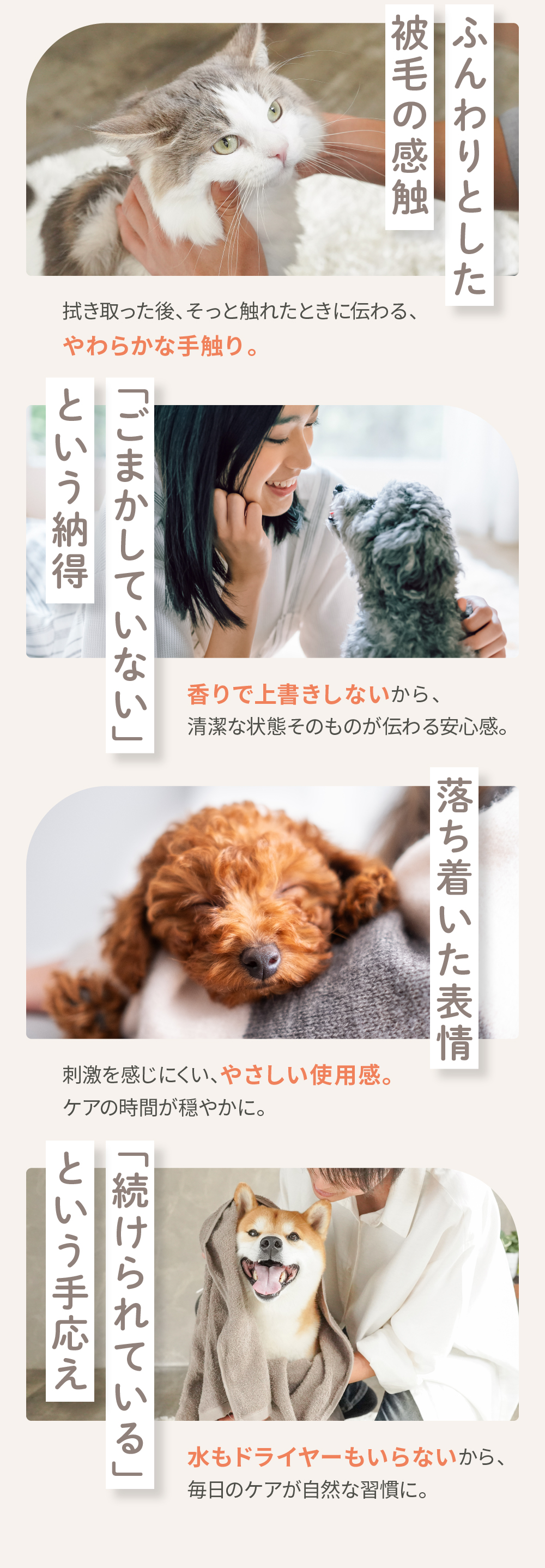水洗いシャンプーとの使い分け方法と毎日の部分ケアのポイント