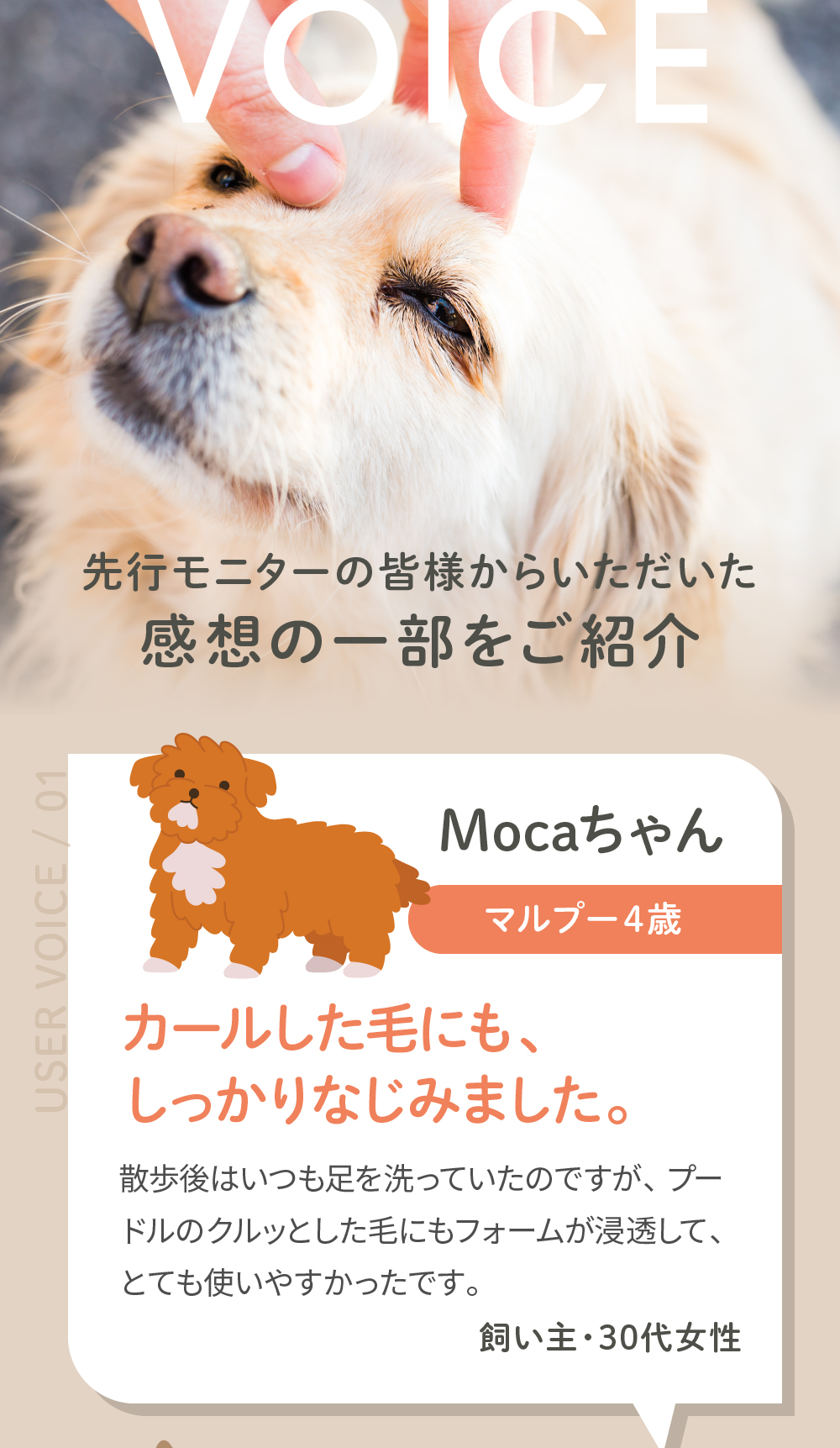 ふんわりした被毛の感触とごまかしていない清潔感を伝える使用感紹介