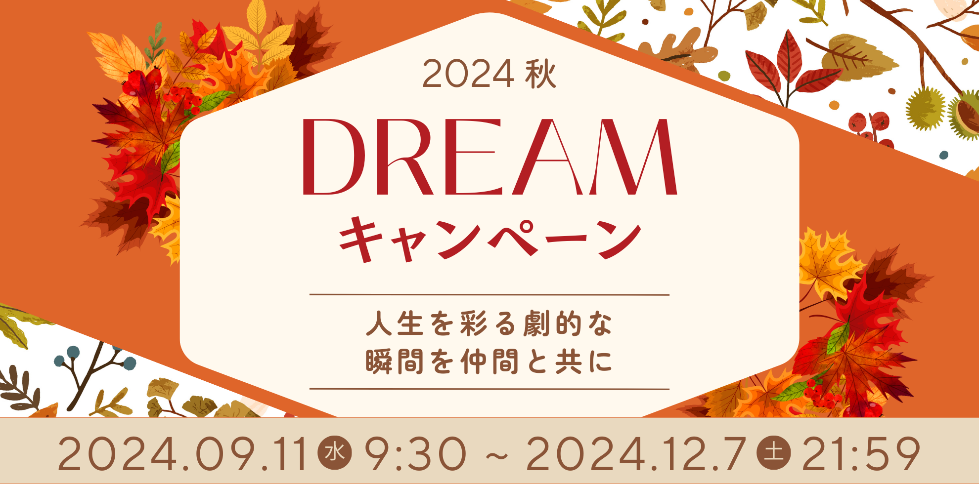 2024 秋のDreamキャンペーン