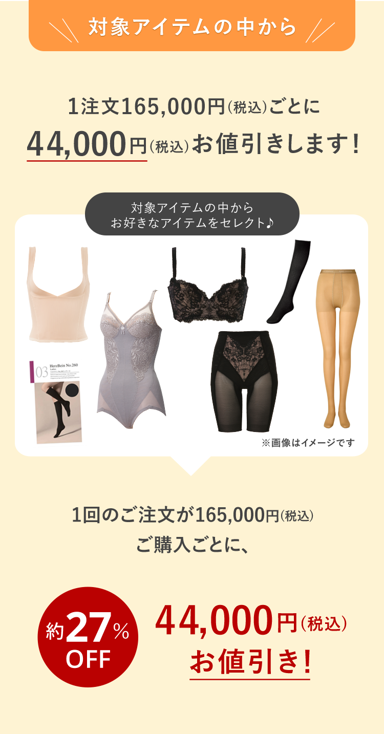 対象アイテムの中から 1注文165,000円(税込)ごとに44,000円(税込)お値引きします!