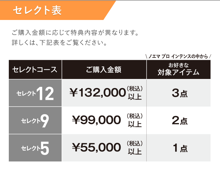 セレクト表 ご購入金額に応じて特典内容が異なります。詳しくは、下記表をご覧ください。