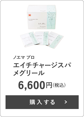 ノエマ プロ エイチチャージスパ メグリール 6,600円(税込)
