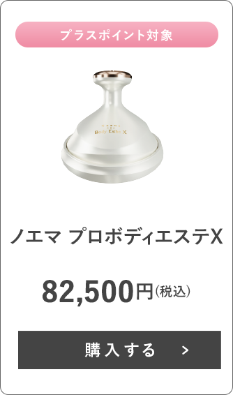 ノエマ プロ ボディエステＸ