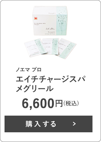ノエマ プロ エイチチャージスパ メグリール