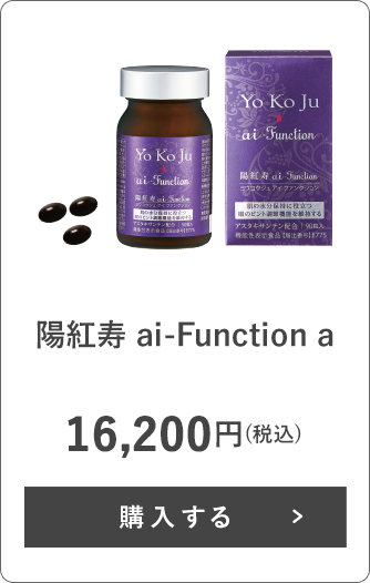 陽紅寿 ai-Function a
