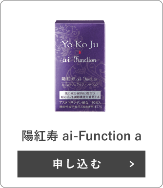 陽紅寿 ai-Function a