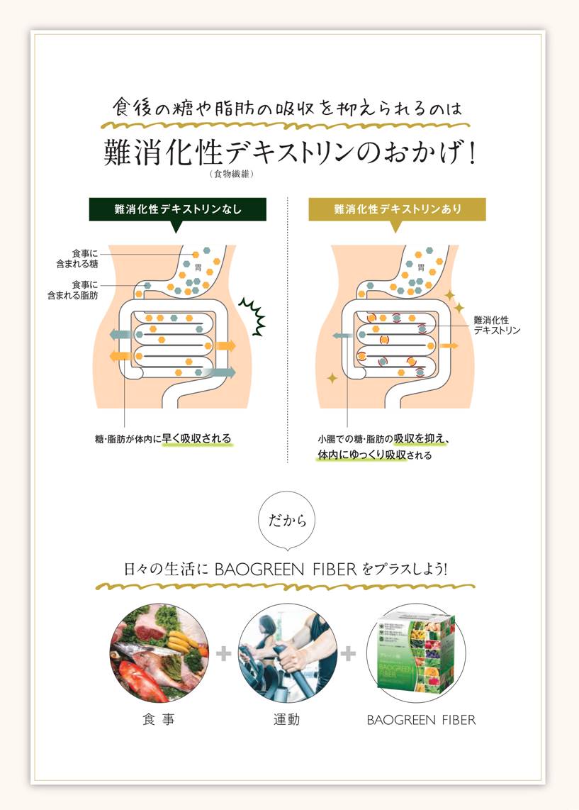 食後の糖や脂肪の吸収を抑えられるのは難消化性デキストリン(食物繊維)のおかげ！　難消化性デキストリンなし…糖と脂肪が体内に早く吸収される　難消化性デキストリンあり…小腸での糖・脂肪の吸収を抑え、体内にゆっくり吸収される