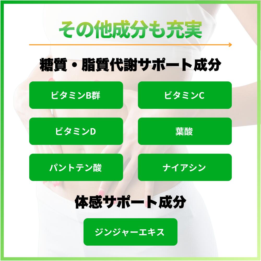 オレアスヴェルト プレミアムの商品説明 その他にも、糖質・脂質代謝サポート成分、体感サポート成分などを配合