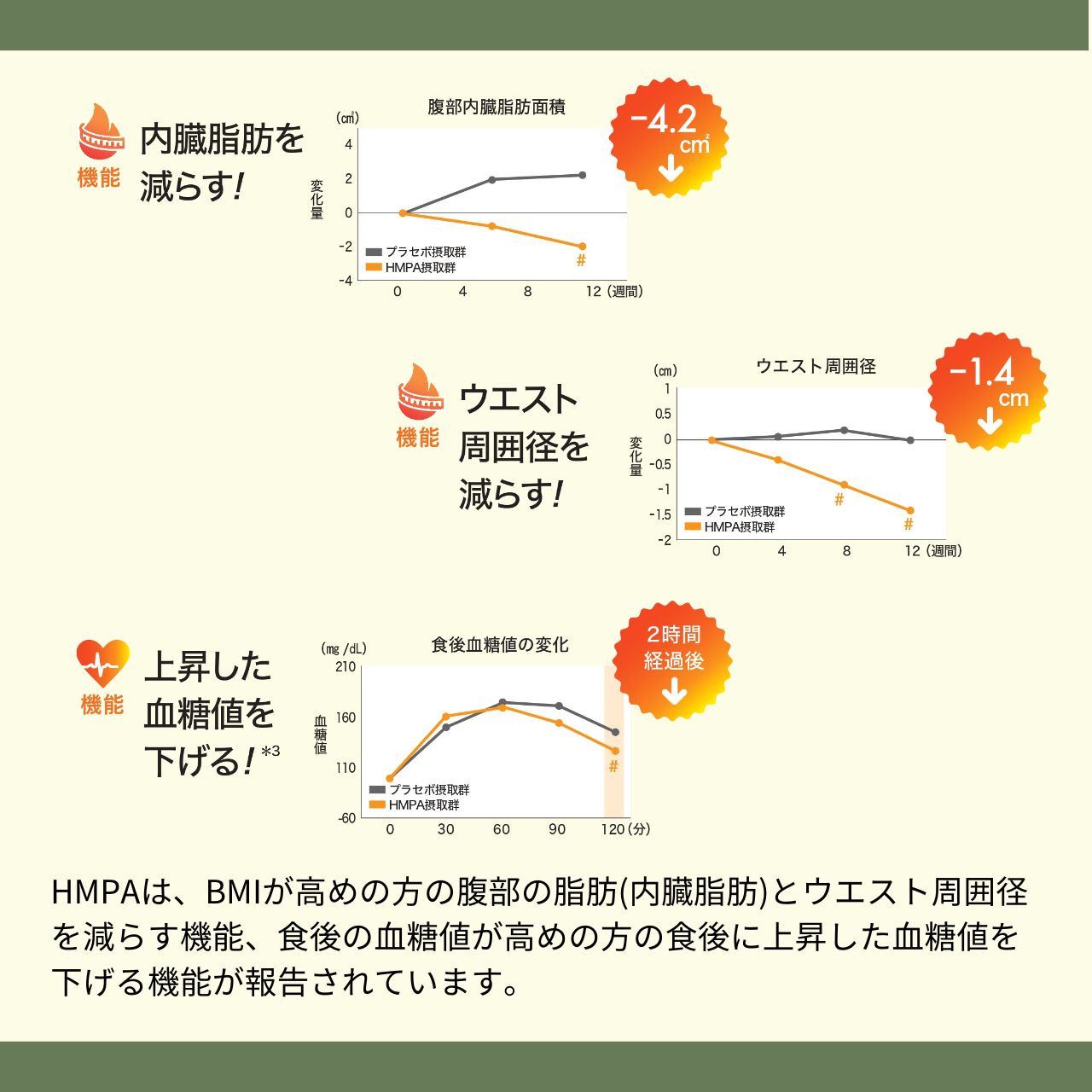 機能性表示食品 オレアスヴェルト プレミアム　ウエストライン、内臓脂肪、結果を出したいボディメイキングに！