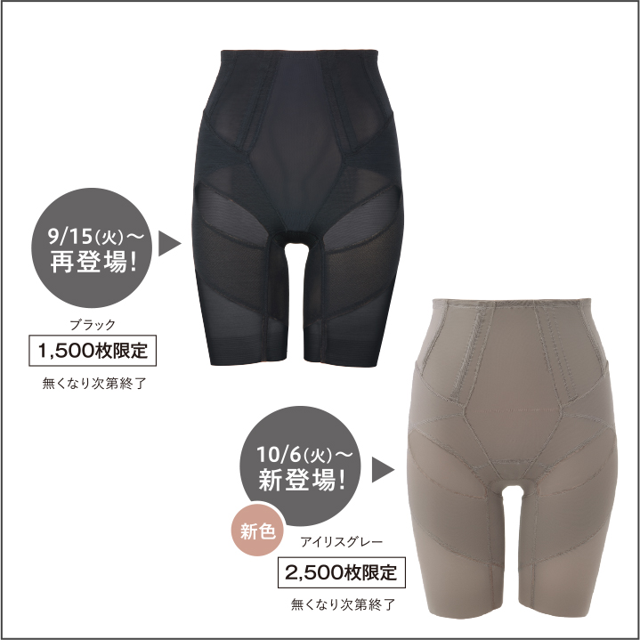 フェミールコアネクトガードル