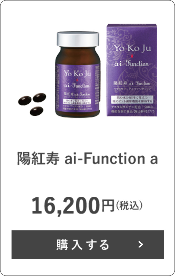 ランティブ
