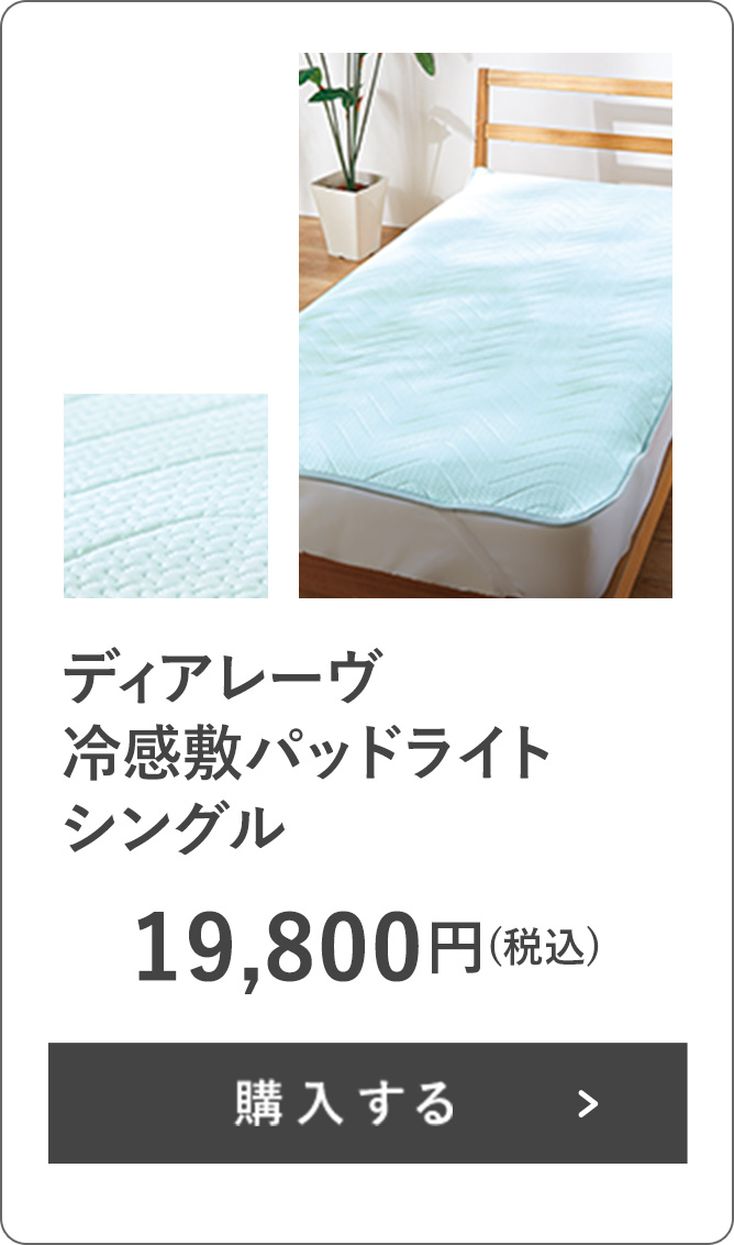 ノエマ プロ ボディエステＸ