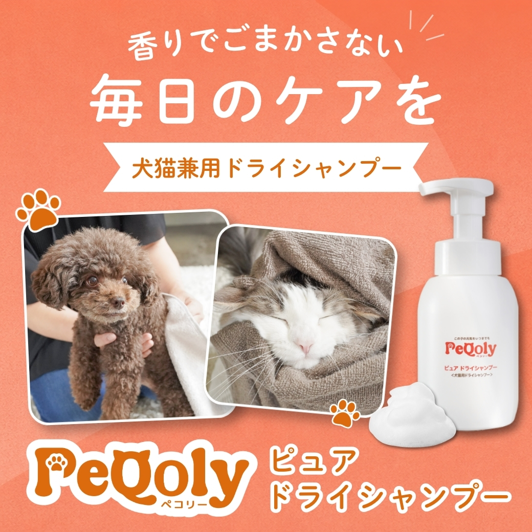 PeQoly ピュア ドライシャンプー