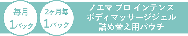 ノエマ プロ インテンス ボディマッサージジェル 詰め替え用パウチ