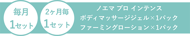 ノエマ プロ インテンス ボディマッサージジェル×2パック ファーミングローション×1パック 詰め替え用パウチ