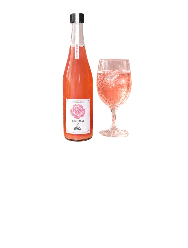 Shiny Owl KOMBUCHA ローズグレイス