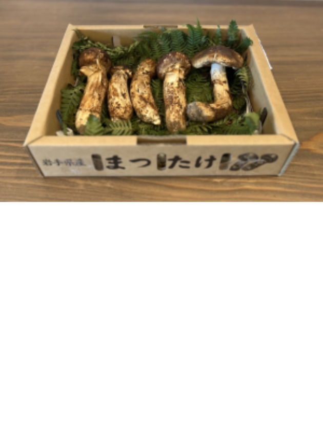 【訳アリ】岩手県産天然松茸