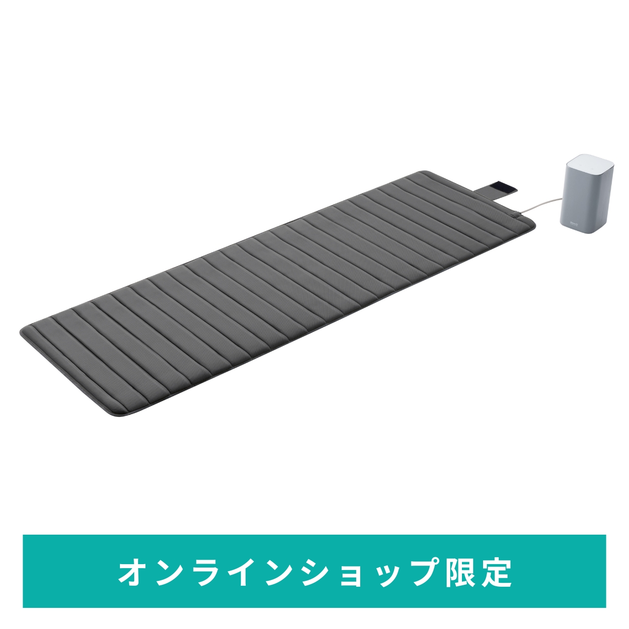 ウェルネスドーム